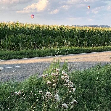 Hot-air balloon in Langenau 