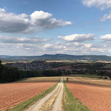 Day 31: Landscape in North Hesse